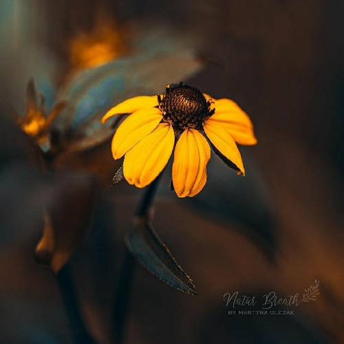 آرمان یزدی لعنت به روزگاری که فریبه دورو برم پر شده از غریبه